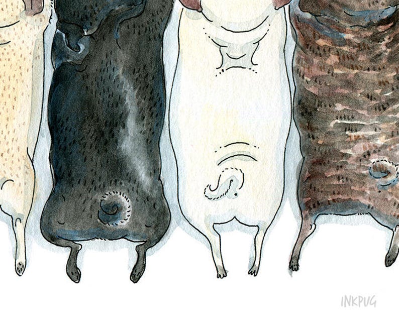 Pug Spectrum Art print of our pug grumble ink and watercolor illustration with fawn, brindle and black pugs in a row by InkPug image 5