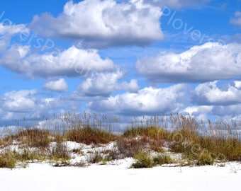 DIGITAL Florida Beach Photography // Cloudy Sky Photography // Sand Dunes and Sea Oats Photograph