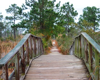 DIGITAL Ein Spaziergang in der Natur // Florida Bridge Boardwalk Fotografie // Ft. Pickens Golf Islands National Sea Shore Fotografie