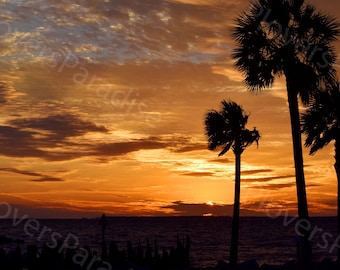 DIGITAL Florida Sunset Photography // Sunset and Palm Trees // Colorful Stormy Sunset Photograph Print