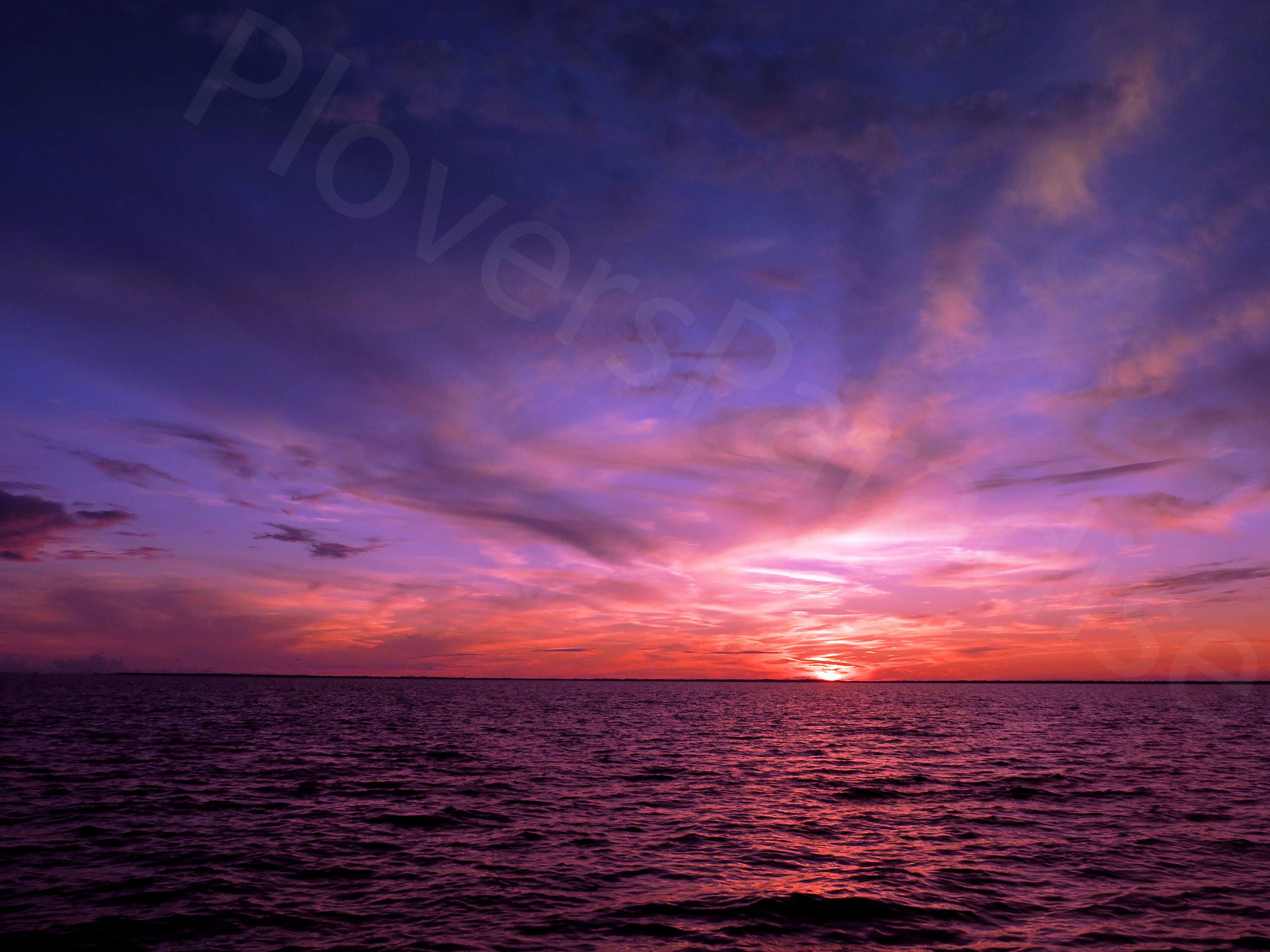 Pink purple sky during sunset over water background vertical Stock Photo by  carlo_vstek