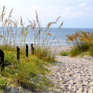 DIGITAL Sandy Beach Walkover Photograph // Sand Dunes and Sea Grass // Beach Footprints // Beach Photography