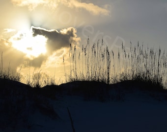 DIGITAL Florida Beach Sunset Photograph // Sand Dunes and Sunset Photography // Florida Nature Photograph
