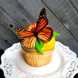 monarch