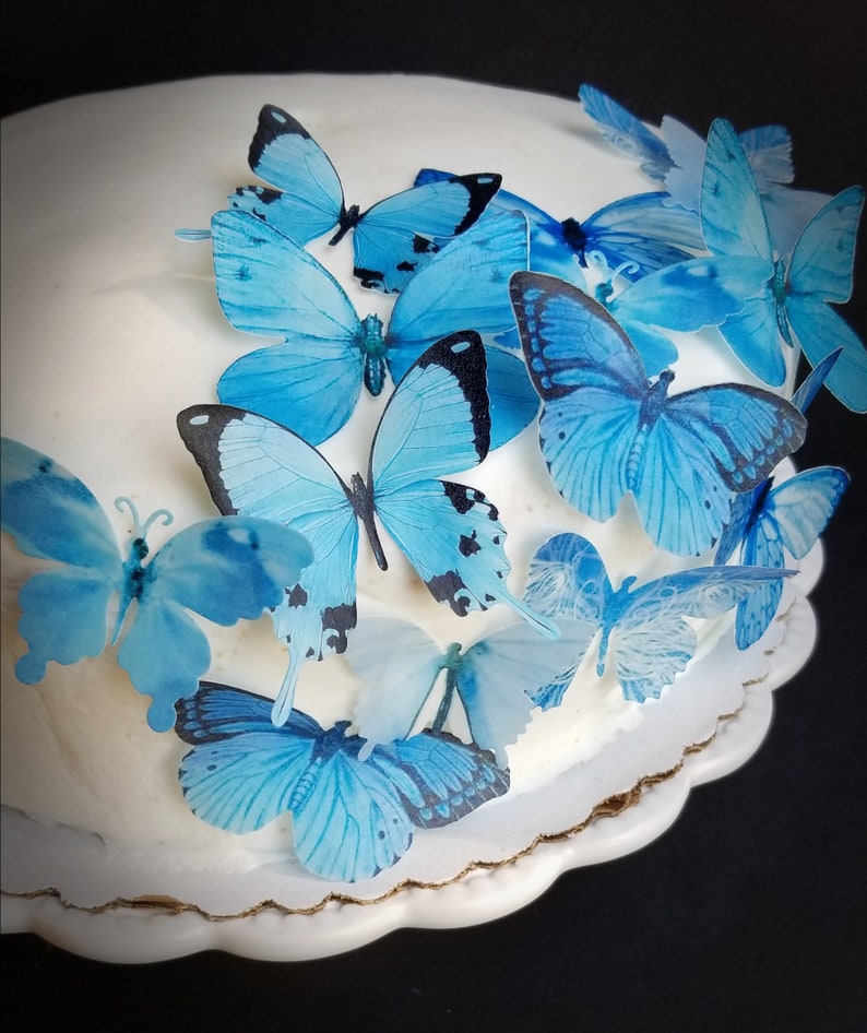 Edible Butterfly Sapphire Blue Cake/ Cupcake Toppers Cake Etsy
