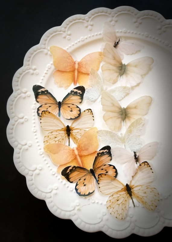 12 Peach Butterflies Cake & Cupcake Toppers,