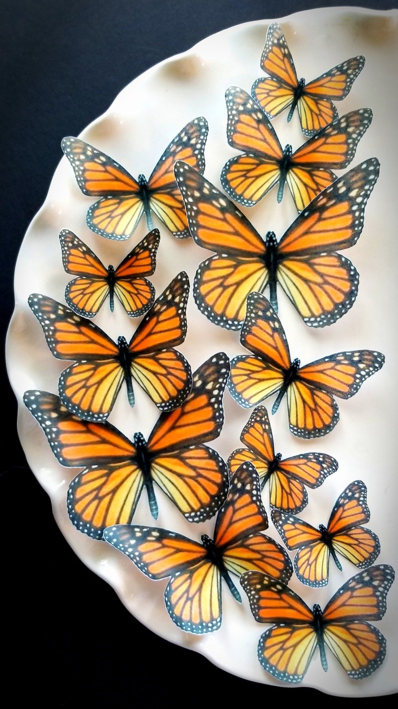 Edible Butterfly Orange Monarch Cake Topper Jumbo to Small Etsy