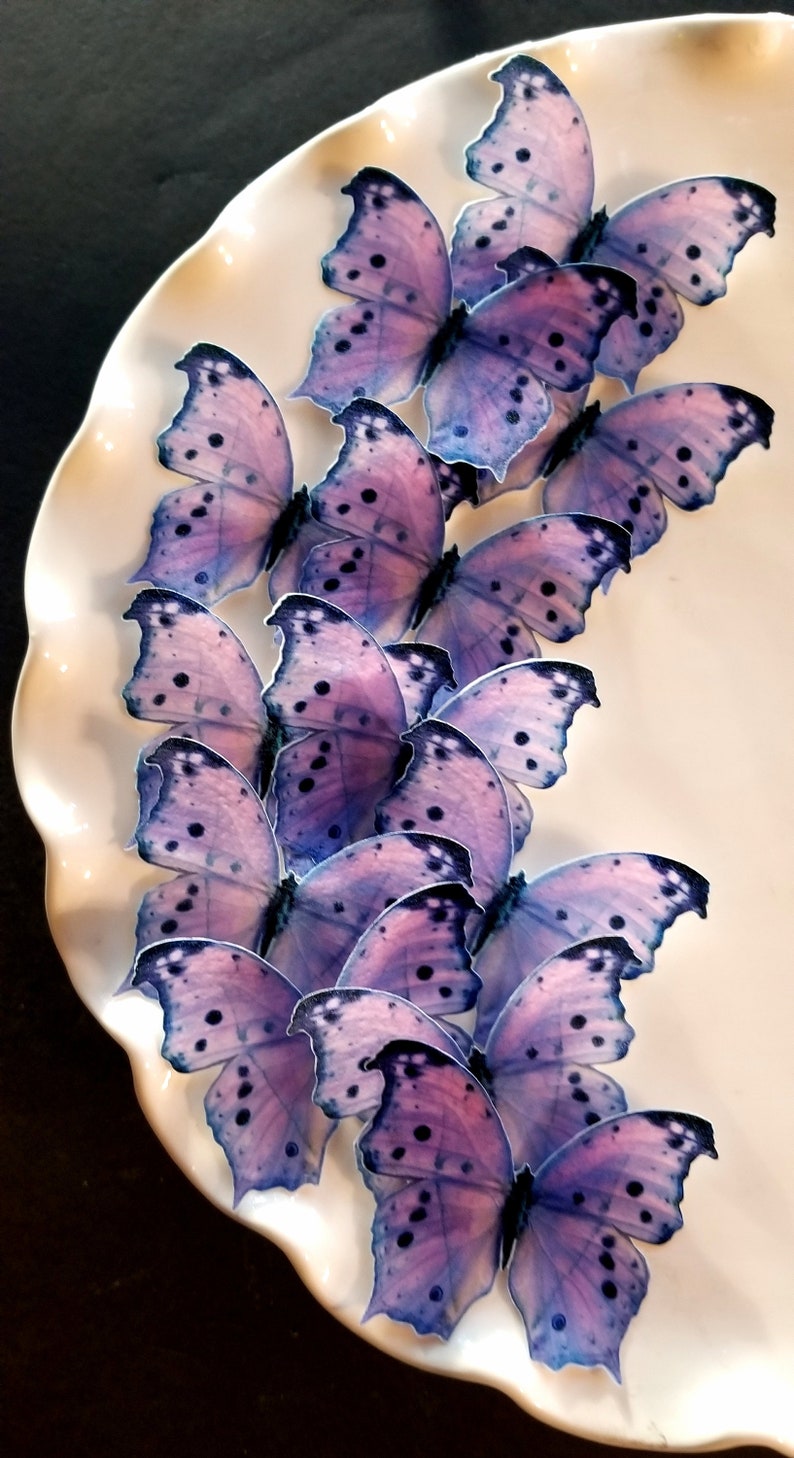 Edible Butterfly Large Spring Lavender Cake cupcake Topper Etsy