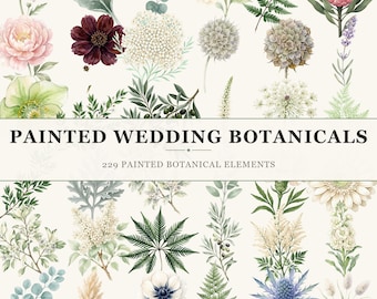Elementos botánicos de boda en acuarela, 229 elementos florales (descarga digital)
