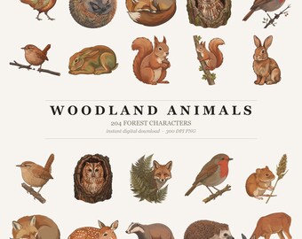 204 imágenes prediseñadas de animales del bosque: zorro, búho, ciervo, erizo, ardilla (descarga digital).