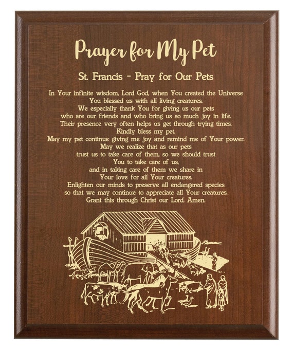 Prayer For Pets Catholic / Prayers For Loss Of A Pet Funeralwise
