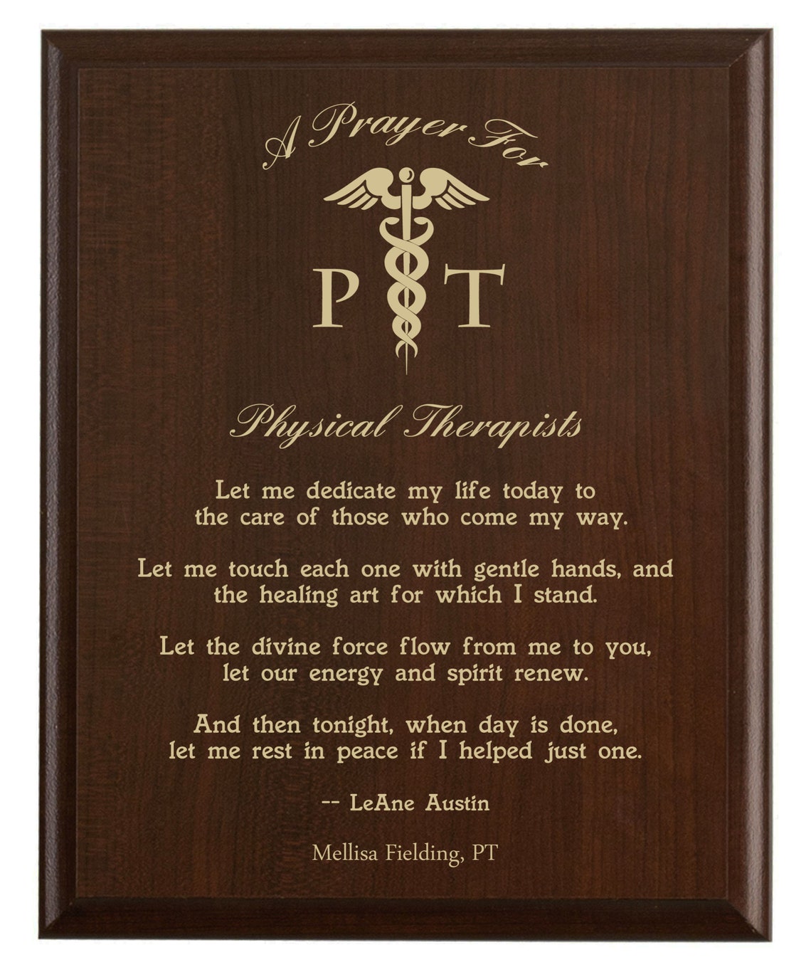 Physical Therapist Prayer Plaque | Strength for Healing Bodies Others ...