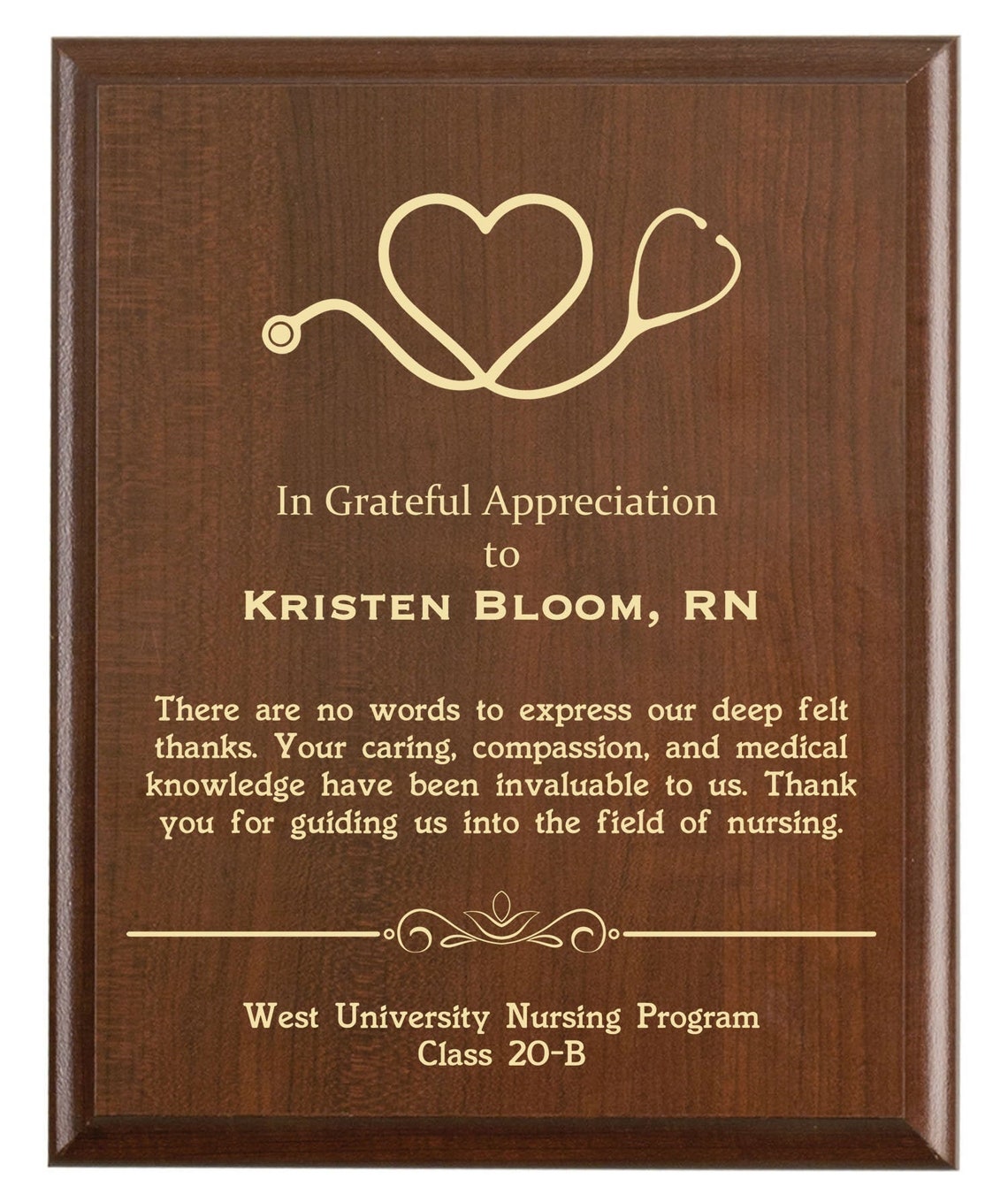 Nurse Preceptor Thank You Plaque Preceptor Gift Nursing Etsy