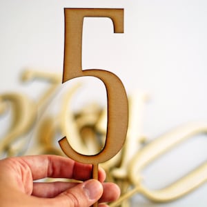 5th  Birthday Cake Topper or Photo Prop - Number 5 - Laser Cut Wood or Acrylic Large Fifth Birthday - wooden number three cake topper