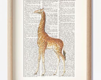 Vintage DICTIONARY art page GIRAFFE, Illustration printed on Repurposed book, Safari animal home decor prints, wall art, kids room, #003