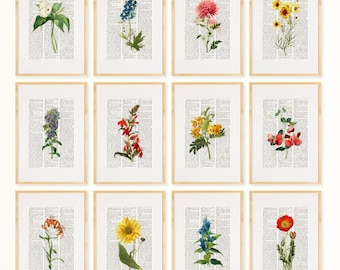 FLOWERS Dictionary Art Print Set, Botanical Print set, pressed flower art, flower Print, Vintage Botanical Wall Decor, Set Prints, #199