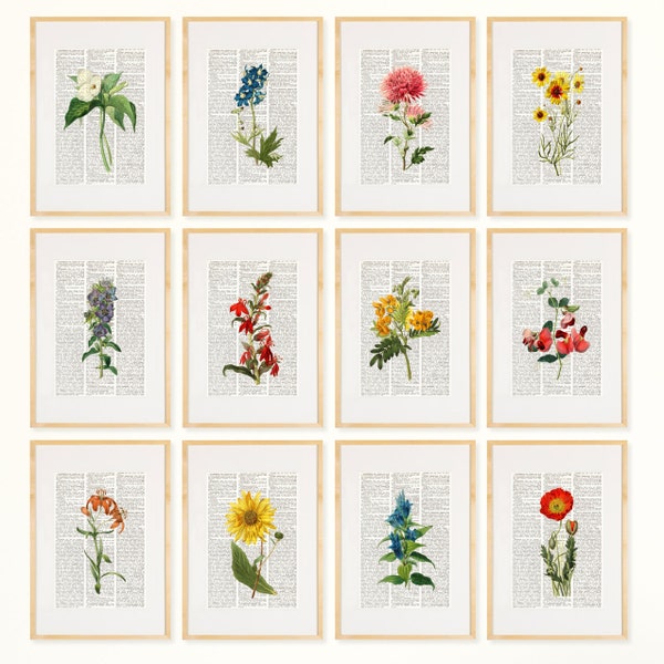 FLOWERS Dictionary Art Print Set, Botanical Print set, pressed flower art, flower Print, Vintage Botanical Wall Decor, Set Prints, #199