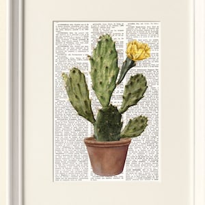 CACTUS PRINT, Vintage illustration, Plants, cacti, Botanical, Wall Art, Farmhouse decor, Cottage style, Shabby chic decor, #182