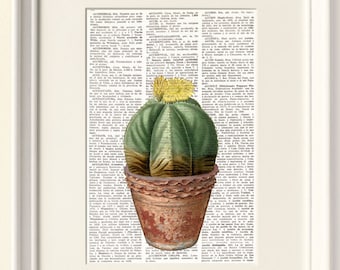 DICTIONARY PRINT CACTUS, Vintage illustration, Plants, cacti, Botanical, Wall Art, Farmhouse decor, Cottage style, Shabby chic decor, #183