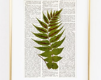 GREENERY Dictionary Art Print, Herbarium Specimen Print, Fern Print, Green Fern Fronds, Pressed Plant Art, Pressed Botanical Print, #193-1