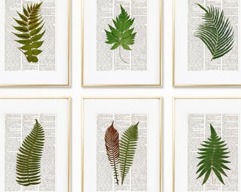 FERNS Dictionary Art Print Set, Botanical Prints, Fern Print, Fern Art, Fern Botanical Print, Vintage Botanical Wall Decor, Set Prints, #207