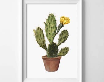 CACTUS PRINT, Vintage illustration, Plants, cacti, Botanical, Wall Art, Farmhouse decor, Cottage style, Shabby chic decor, 8x10 prints, #182