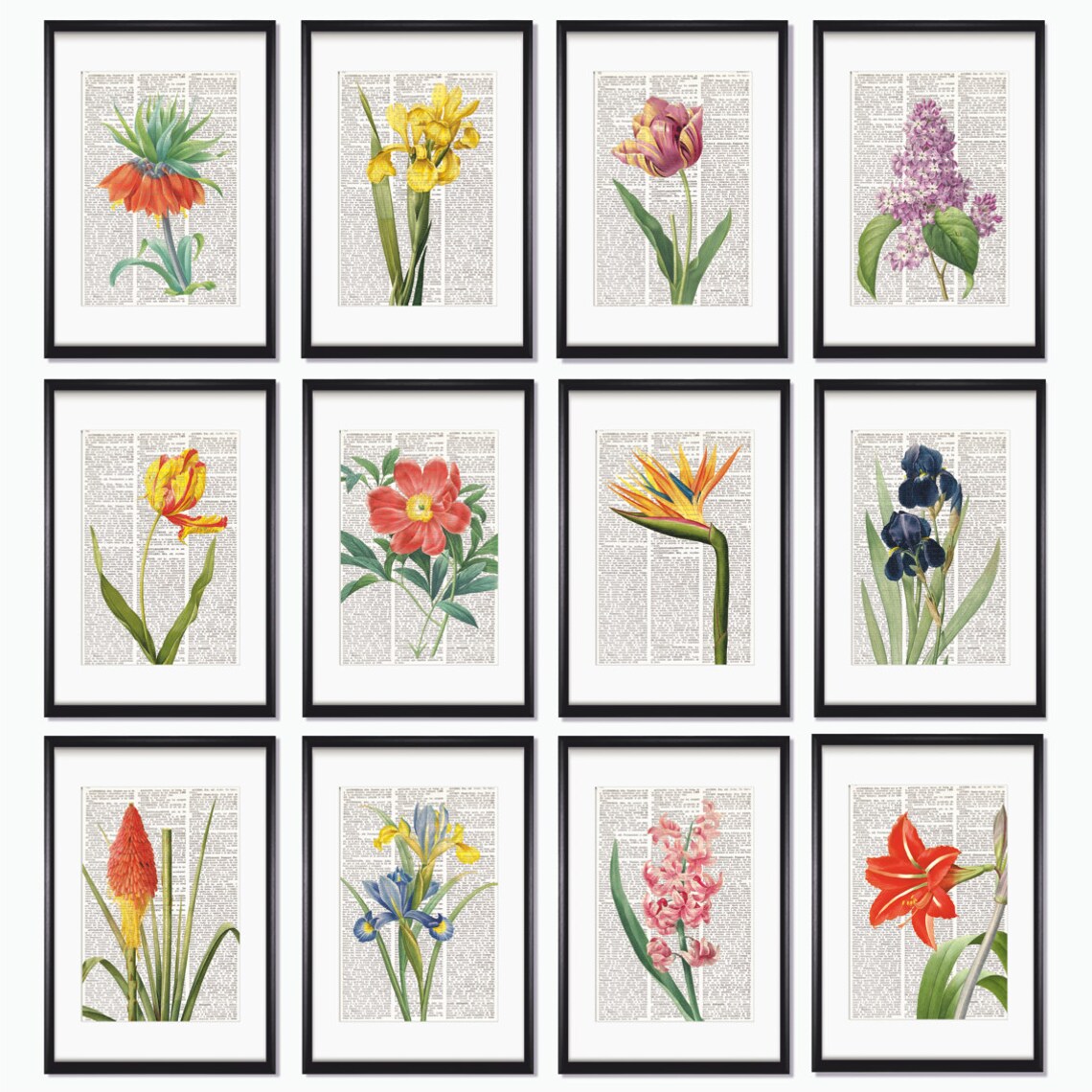 FLOWERS Dictionary Art Print Set Botanical Print Set Pressed Etsy