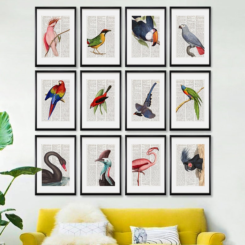 PINK COCKATOO Dictionary Art Print Cockatoo Cockatoo Wall Etsy