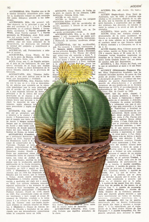 DICTIONARY PRINT CACTUS, Vintage Illustration, Plants, Cacti, Botanical