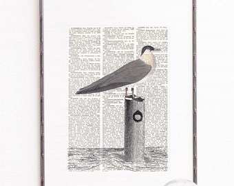 Ilustración en PAGINA DICCIONARIO GAVIOTA, Laminas de diccionario, Laminas vintage, Pajaro sobre poste madera, Decoracion marinera, #128