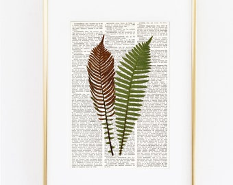 DICTIONARY art print FERN, Botanical Prints, Fern Print, Fern Art, Vintage Botanical, Farmhouse decor, Cottage style, Shabby chic, #193-3