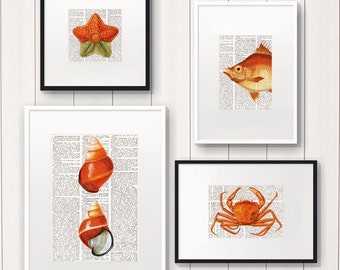 SEA LIFE in ORANGE, Set of 4 Dictionary Art Prints, Coastal decor, nautical, Starfish, wall decor, fish, shell, crab, bathroom decor, #150