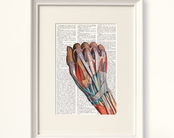 MÚSCULOS de la MANO, Lámina diccionario, lámina vintage, Laminas Anatomía, anatomia humana, regalo original, cirujano, médico, doctor, #191