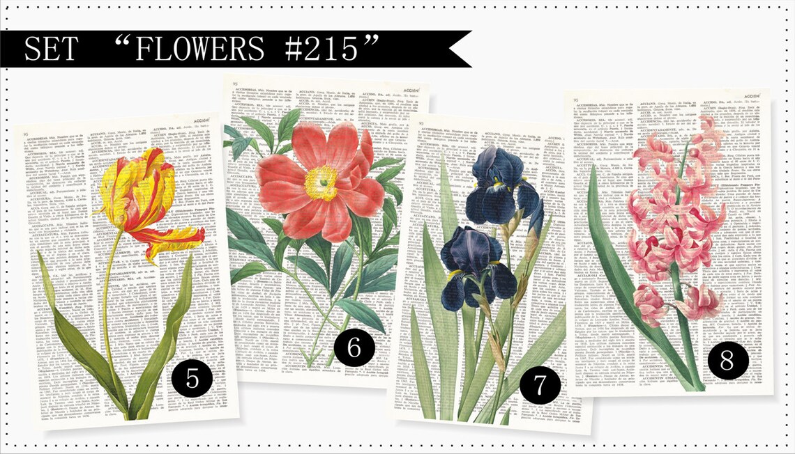 FLOWERS Dictionary Art Print Set Botanical Print Set Pressed Etsy