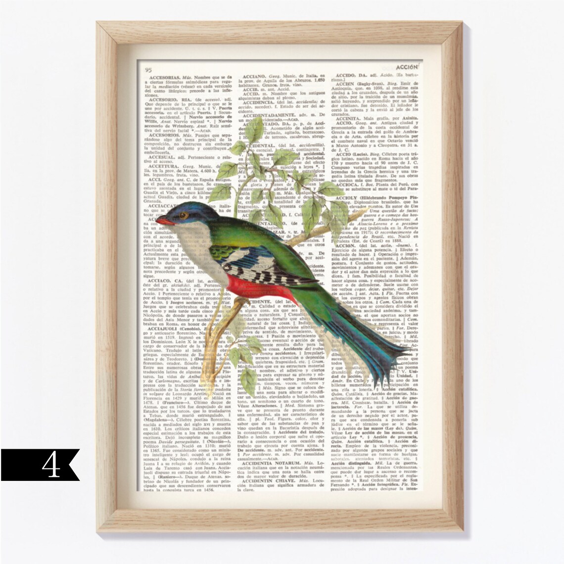 BIRDS Dictionary Art Print Set Antique Birds Ornithology | Etsy