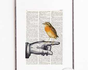 LITTLE BIRD perched on a FINGER, Wall hanging Art, Dictionary Art Print, Book print collage, Home or Office Wall Decor, bird prints, #114