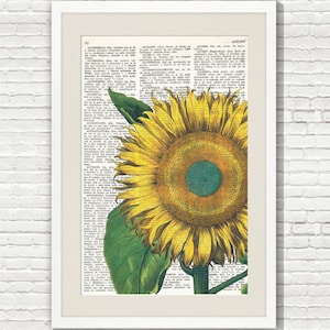 SUNFLOWER DICTIONARY Page Art PRINT, Yellow flower, Antique Illustration, Wall Art, Cottage Home Decor, Botanical art, Wall Hanging, #091