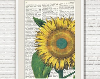 SUNFLOWER DICTIONARY Page Art PRINT, Yellow flower, Antique Illustration, Wall Art, Cottage Home Decor, Botanical art, Wall Hanging, #091