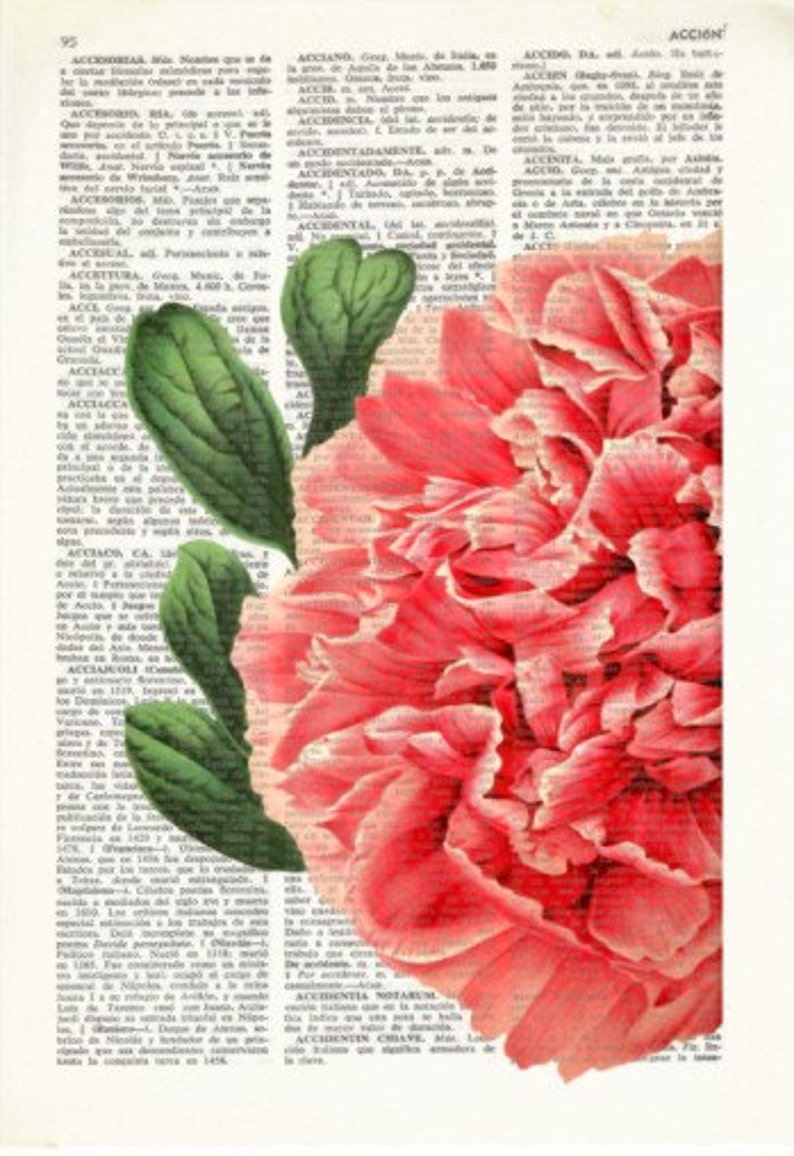 Dictionary Art Print PINK FLOWER, Dictionary Art, Vintage Wall Art, Dictionary Print, Wall decor, Upcycled page, flower print, floral, 023 image 2