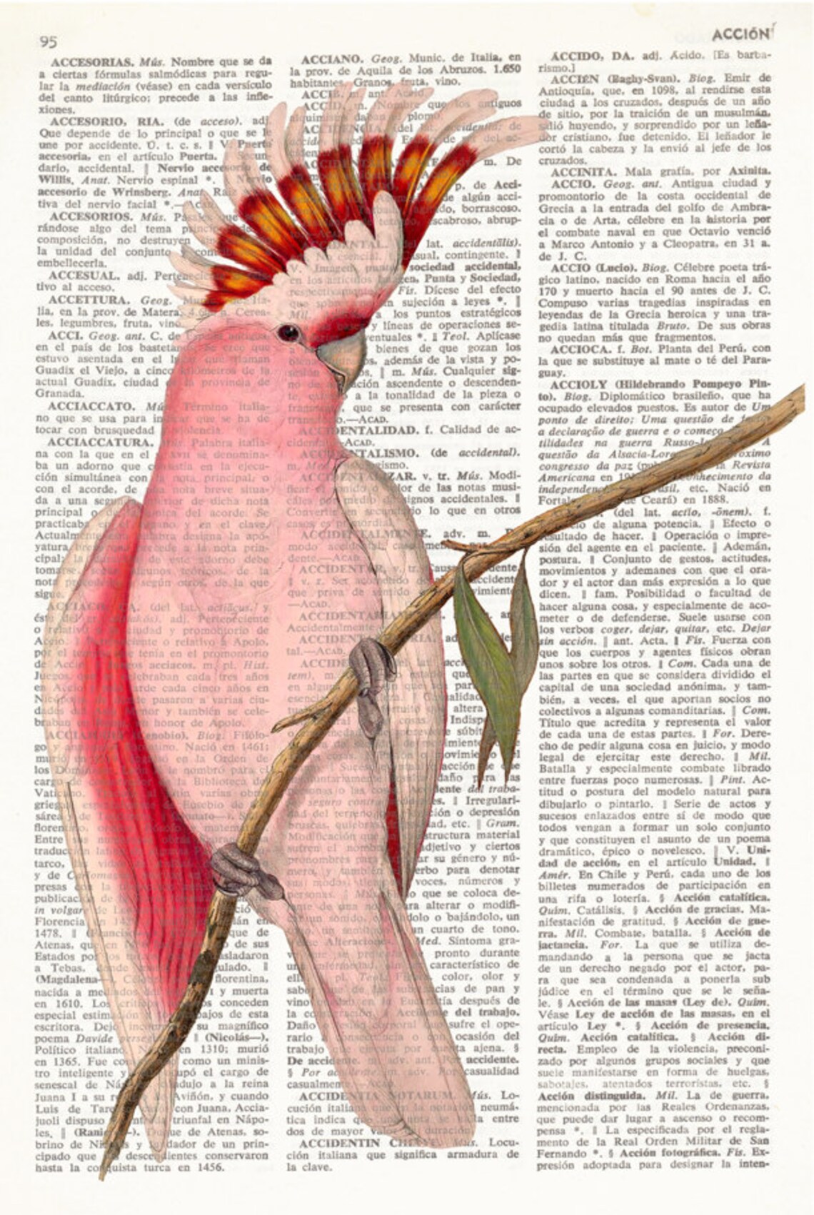 PINK COCKATOO Dictionary Art Print Cockatoo Cockatoo Wall Etsy