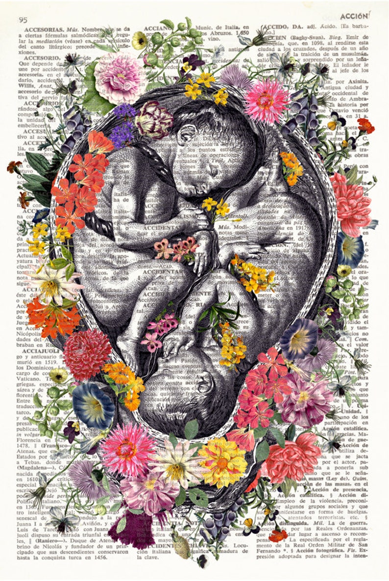 FLOWERED TWINS Dictionary Art Print, Twin Fetus, Womb, Uterus, anatomy print, Mother of two, new mom gift, baby shower, floral anatomy, 186 image 2