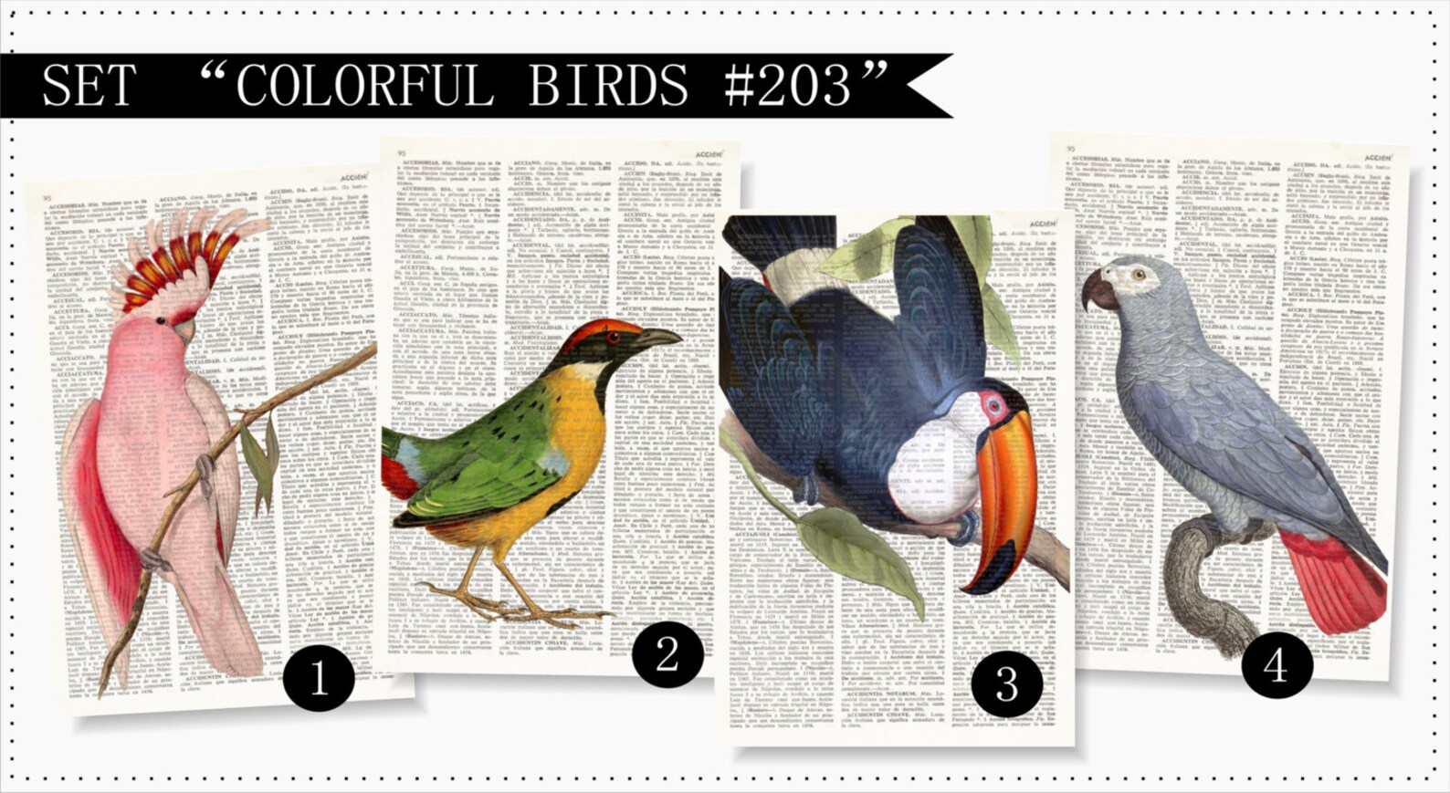 COLORFUL BIRDS Dictionary Art Print Set Ornithology Vintage Etsy