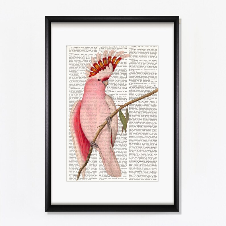 PINK COCKATOO Dictionary Art Print Cockatoo cockatoo wall Etsy