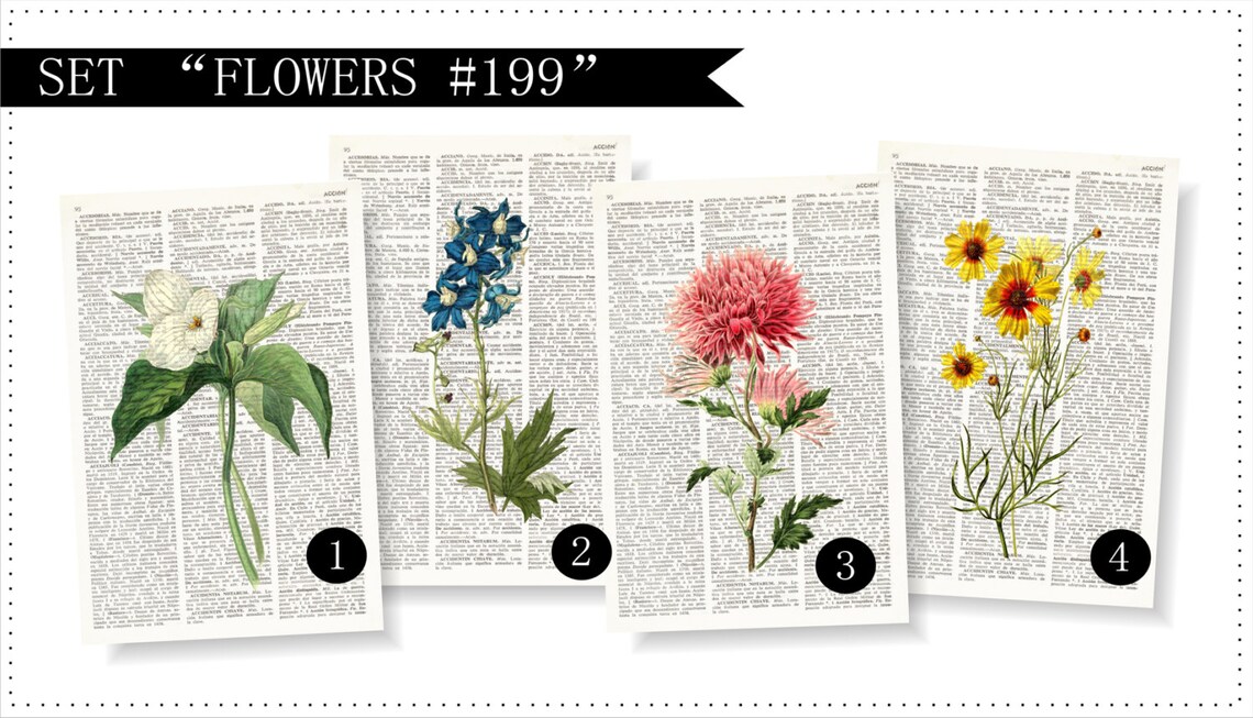 FLOWERS Dictionary Art Print Set Botanical Print Set Pressed Etsy