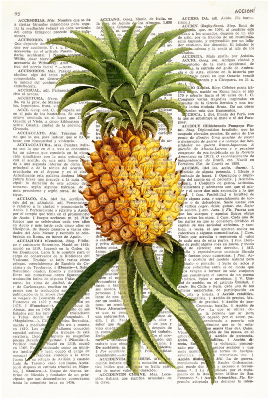 Dictionary Art Print PINEAPPLE, Antique Print, Kitchen Wall Decor