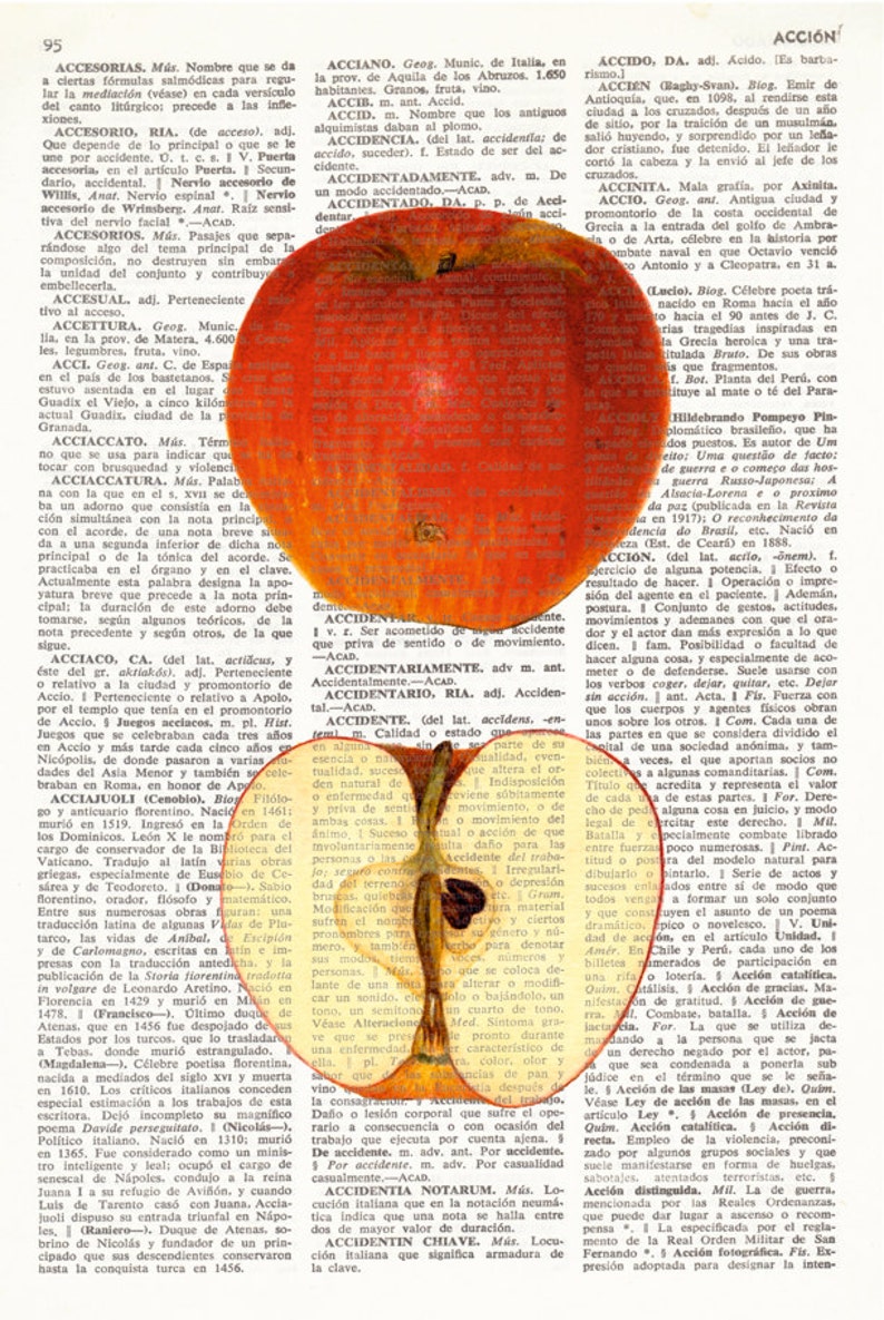 Dictionary Art Print APPLE, Kitchen Wall Decor, Wall Art, Botanical prints, fruit art, kitchen prints, food art, Vintage illustration, 176 image 2