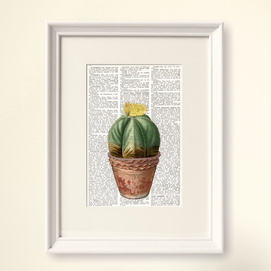 DICTIONARY PRINT CACTUS, Vintage Illustration, Plants, Cacti, Botanical