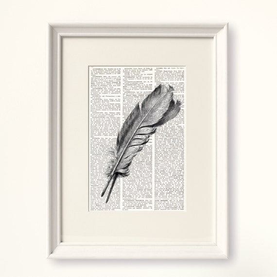 Bird Feathers available as Framed Prints, Photos, Wall Art and Photo Gifts