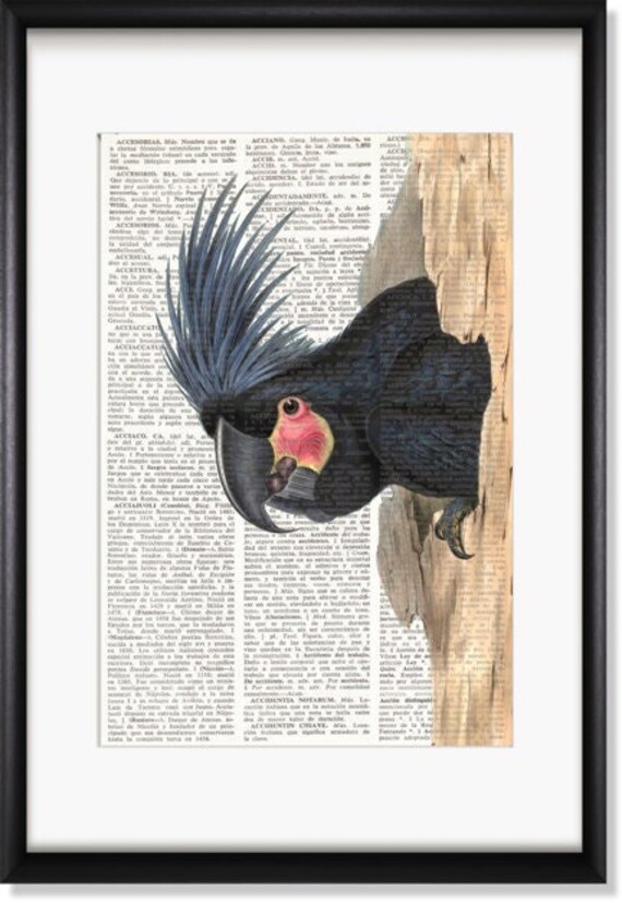 BLACK COCKATOO Dictionary Art Print Bird Print Toucan Print Etsy