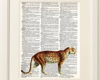 LEOPARD Dictionary Art Print, Safari Nursery Art, Jungle baby shower decorations, Wall Art, zoo animals, children art, nursery decor #154-4